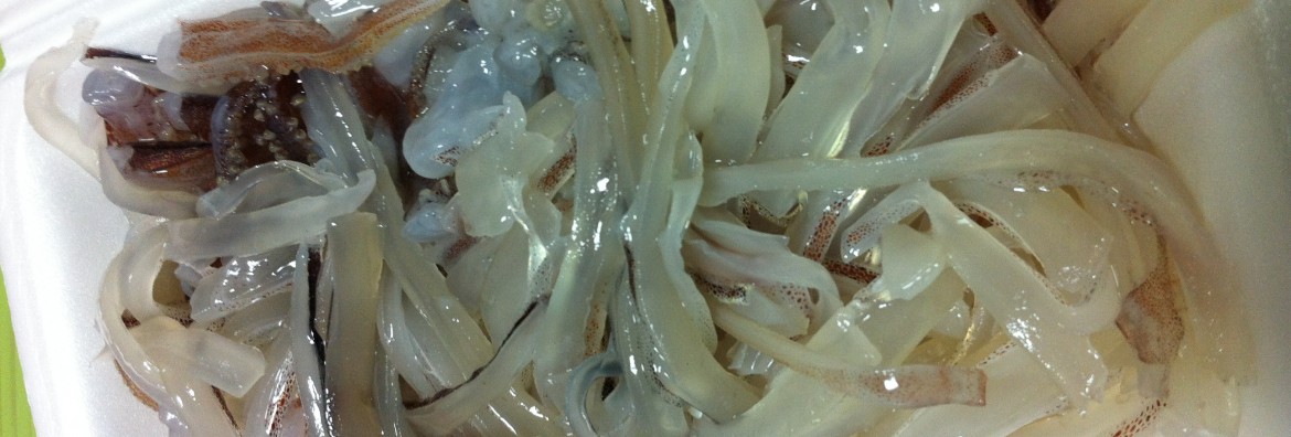 [신림 맛집] 저렴하고 싱싱한 오징어 회가 땡길땐? 광동수산오징어에서 한마리 포장하자!