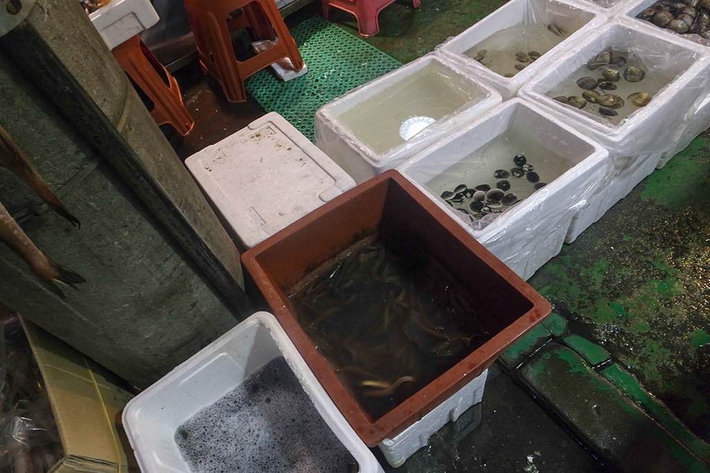 SAMSUNG CAMERA PICTURES