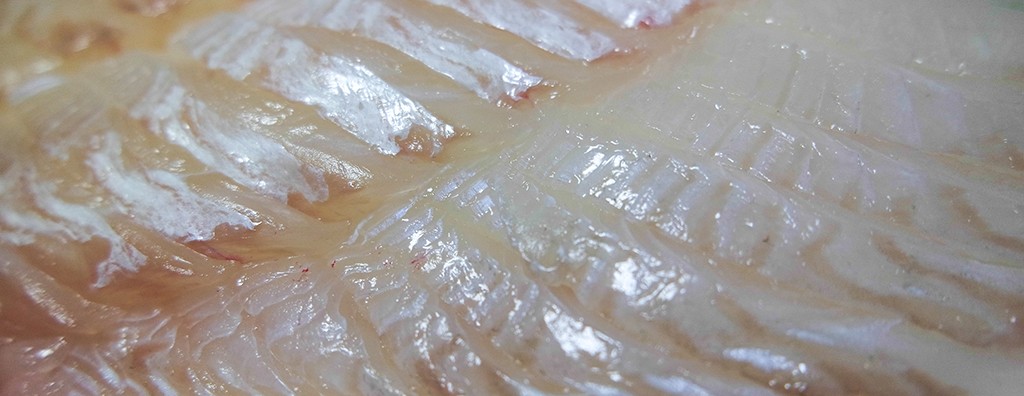 [은평구 신사/새절/응암] 포장되고 싸고 양많은 횟집 ‘수산물직판장’! 오늘은 회로 달립시다.