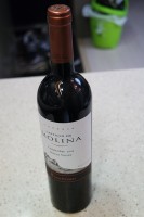 [와인] Castillo De Molina Reserva Carmenere 2013